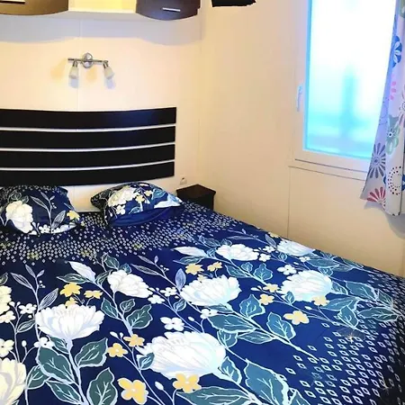 Hakuna Matata 营地 *