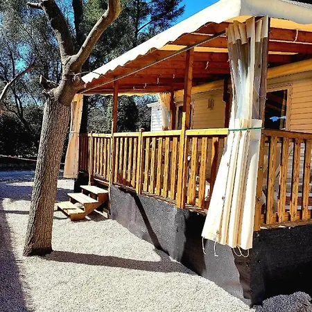 Hakuna Matata 营地 *