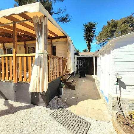 Hakuna Matata 拉西约塔